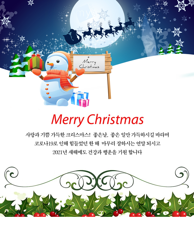 merry Christmas-2.png