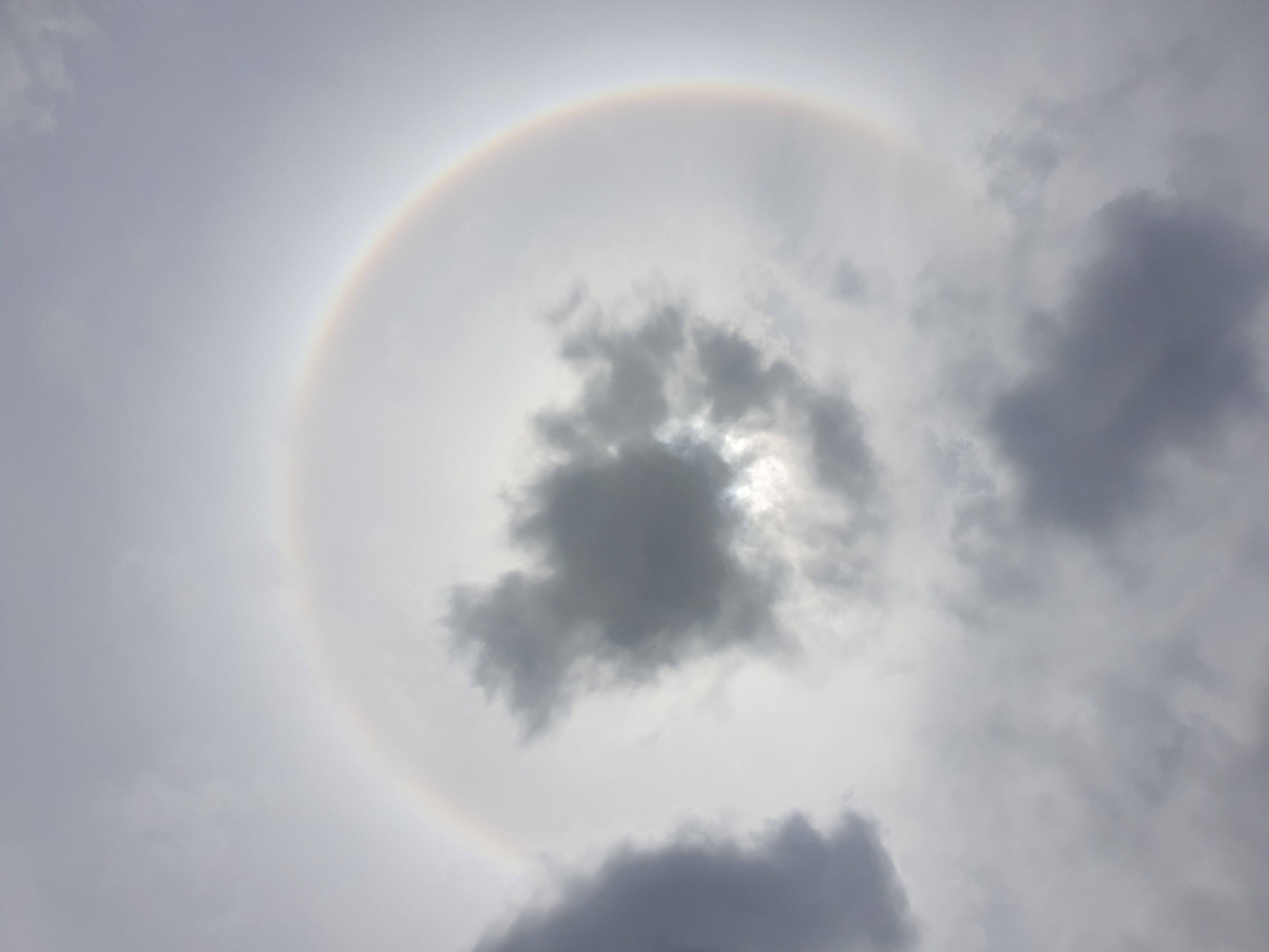 2019.06.08 해무리.jpg